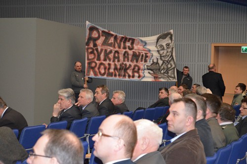 Debata 2013