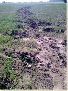 Skutki sp�ywu wody