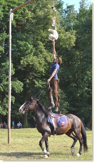 Zrywanie kaczora