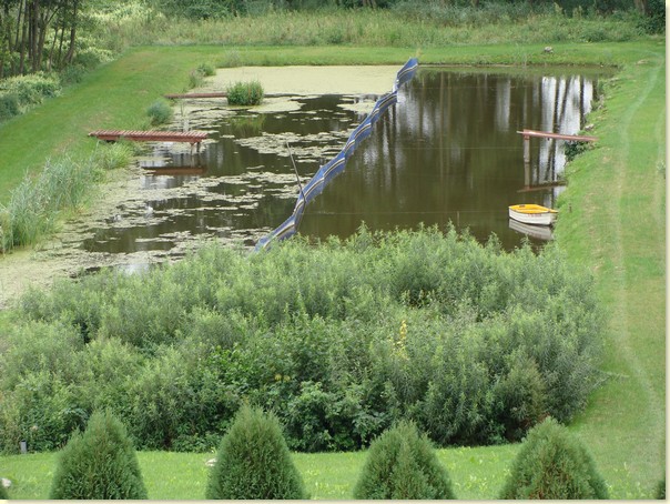 Zastosowanie probiotyk�w